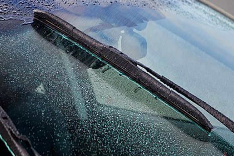 wiper